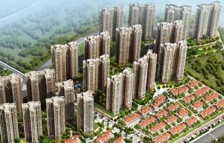 龙港碧桂园爆料最新消息,揭秘项目进展与亮点