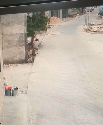 今日揭西爆料视频最新,最新视频揭露惊人真相，引发网友热议！